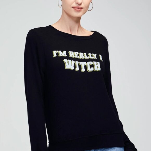 NWT Wildfox I'm Really a Witch Baggy Beach Jumper oversized sweatshirt - Picture 2 of 2